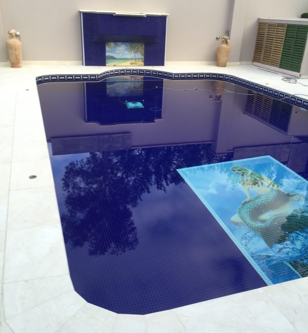Large pool, with special custom order picture from Spain, Killara